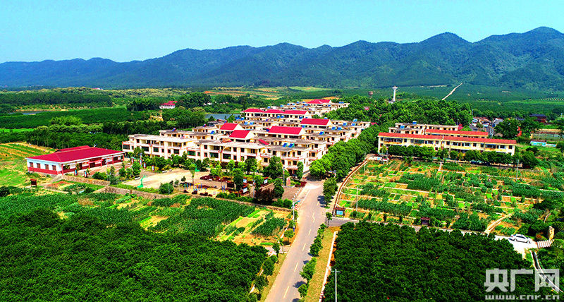 江西峡江美丽乡村多姿彩图