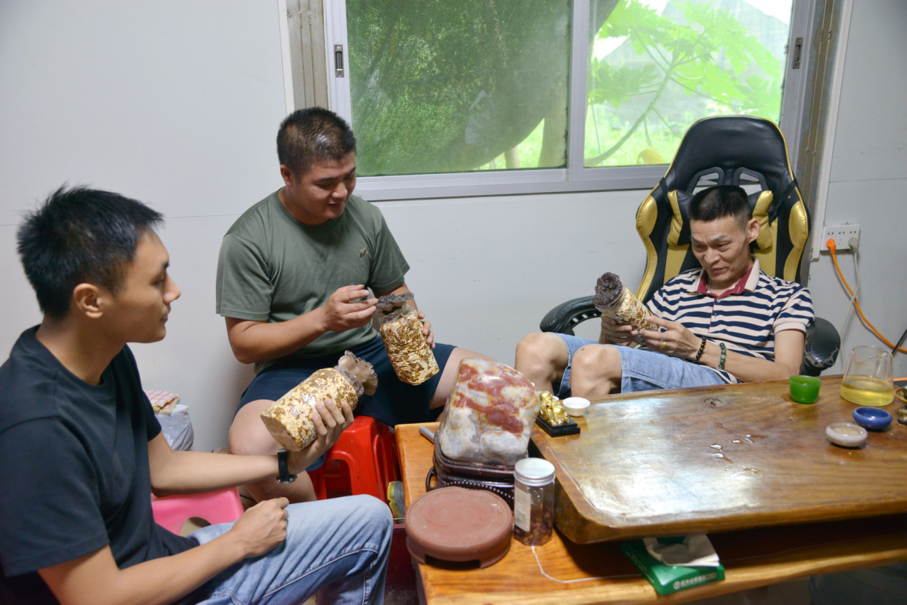 张锡桶|“老乡”脱贫与税事|“不等不靠，总能闯出一条致富路”