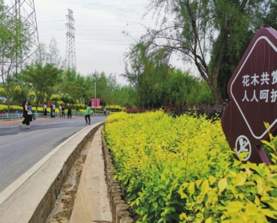 罗九公路路边绿化