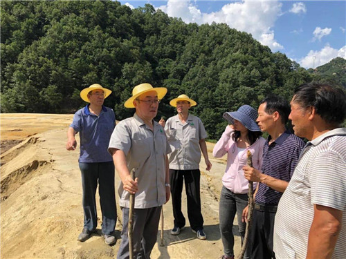 应急管理部工作组深入陕西洛南县暴雨重灾区指导涉险尾矿库应急除险工作
