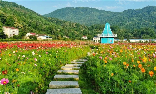 霍山县单龙寺镇荣获2020安徽避暑旅游目的地称号
