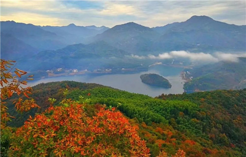 霍山县单龙寺镇荣获2020安徽避暑旅游目的地称号