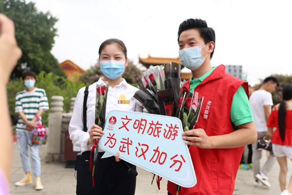 武汉人口马甲_武汉人口分布图(3)