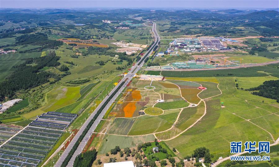 这是长春莲花山生态旅游度假区的花田（8月22日摄，无人机照片）。新华社记者许畅摄
