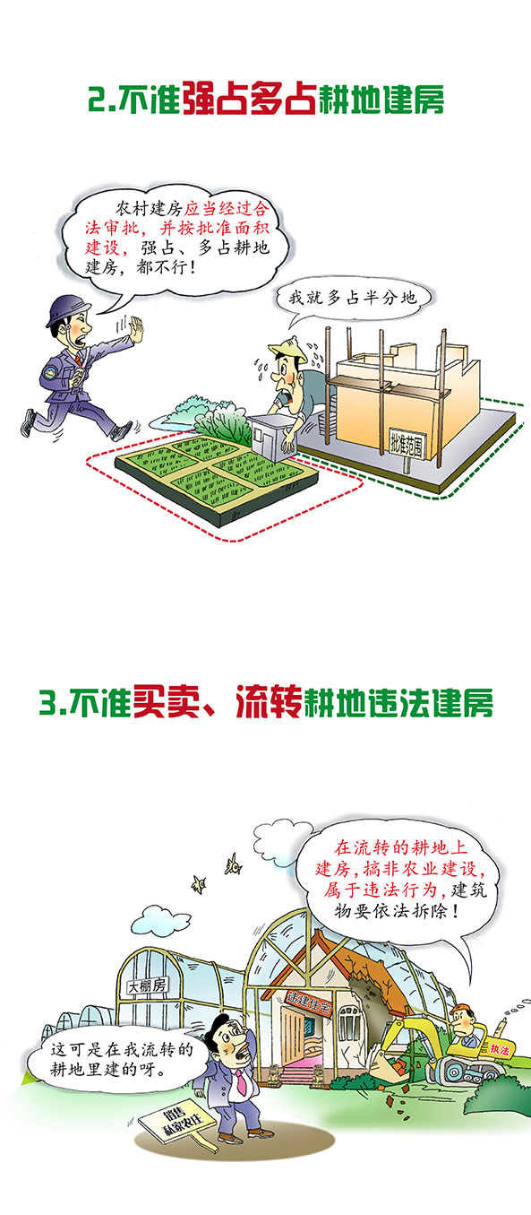 一张图了解农村乱占耕地建房八不准