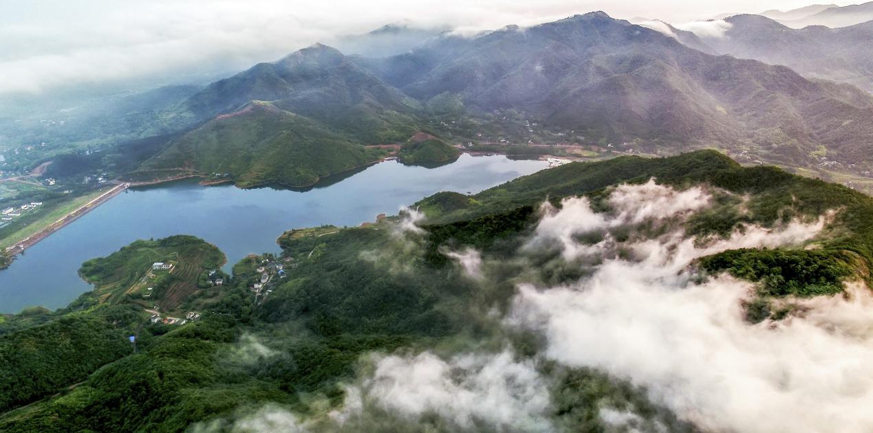 大碗合肥应邀担任庐江