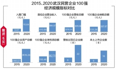 武汉民营经济总量_武汉经济开发区发改局