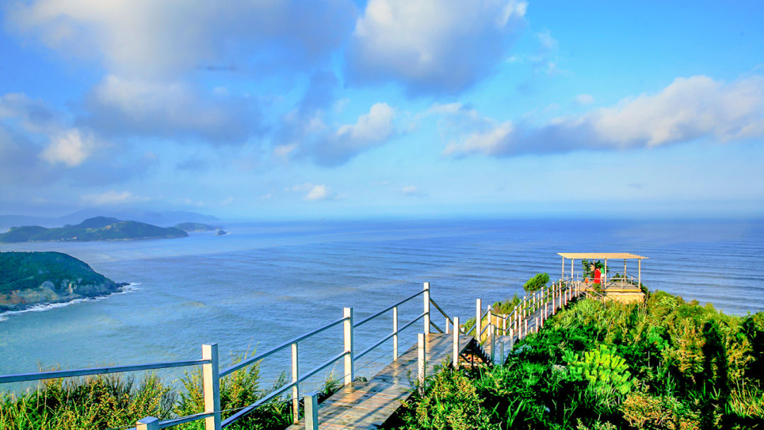 苍南环海公路上的风景,已经到了最美的时候啦