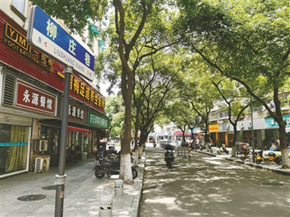 柳庄巷(图片由作者提供)
