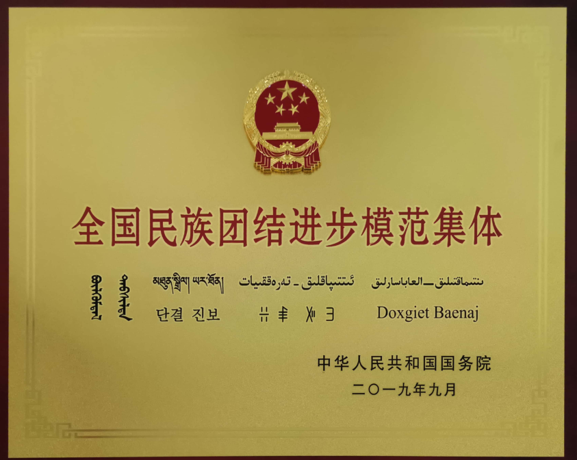 2019年，医疗人才“组团式”支援医疗队被国务院授予“全国民族团结进步模范集体”荣誉称号。