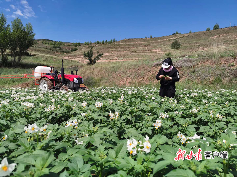 张巧花幸福的日子是奋斗出来的