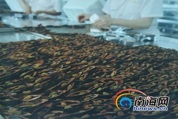 多管齐下 海南深度提升槟榔产业