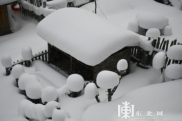 积雪覆盖的雪蘑菇,雪房子.王衍龙摄