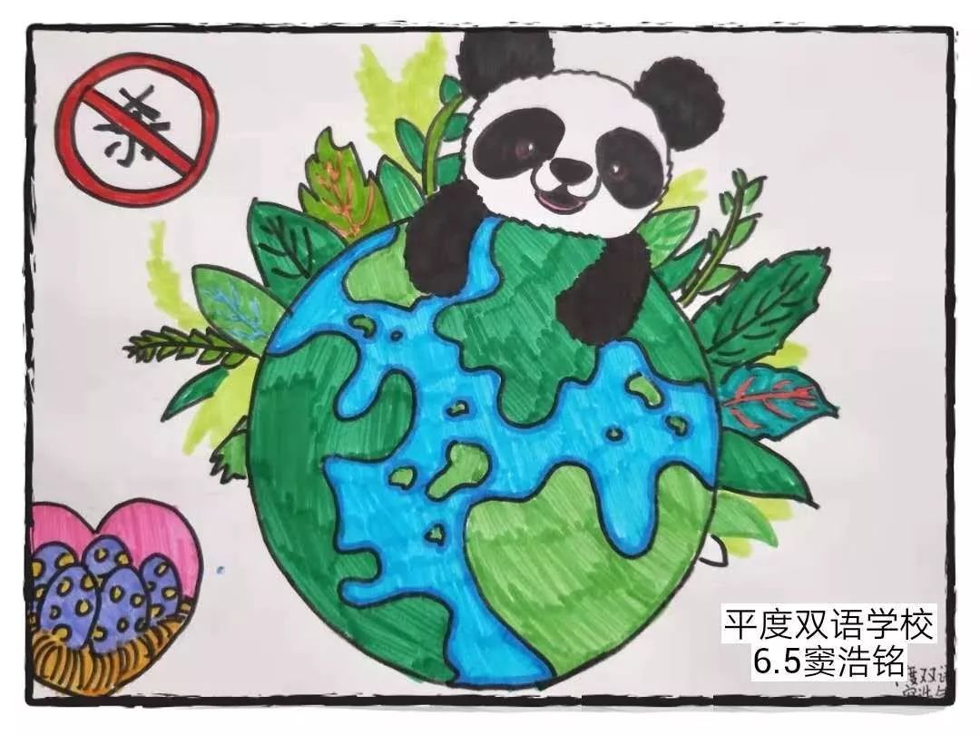 抗击新型肺炎,保护野生动物!平度双语学子在行动