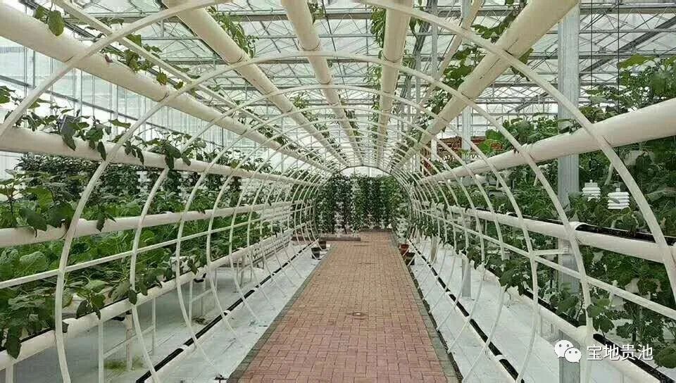 贵池2019年成绩单来了!这些第一都是我们的(最新发布)