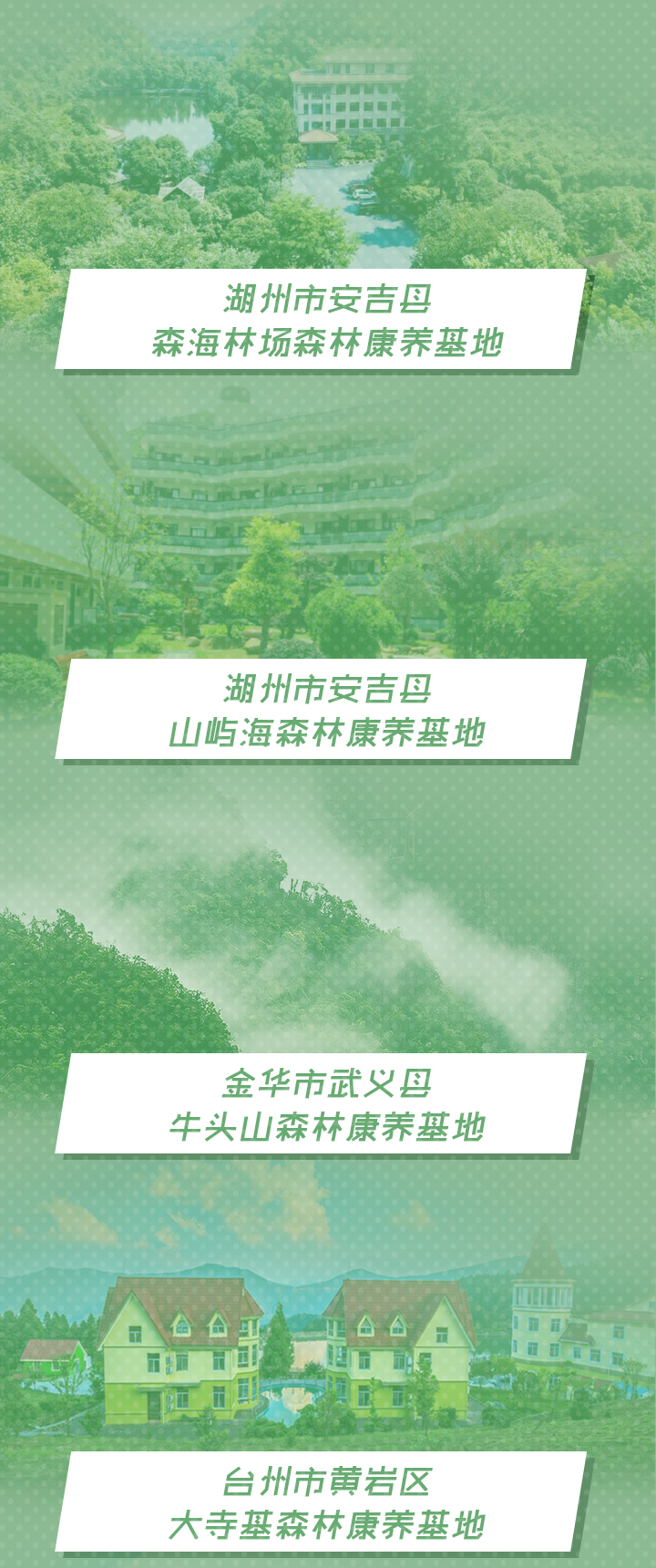 看得心痒痒 浙江首批森林康养基地等你来