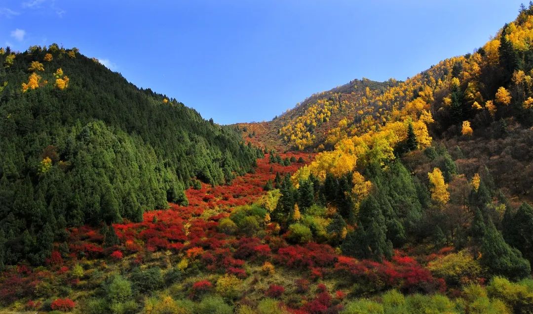 天祝三峡 层林尽染