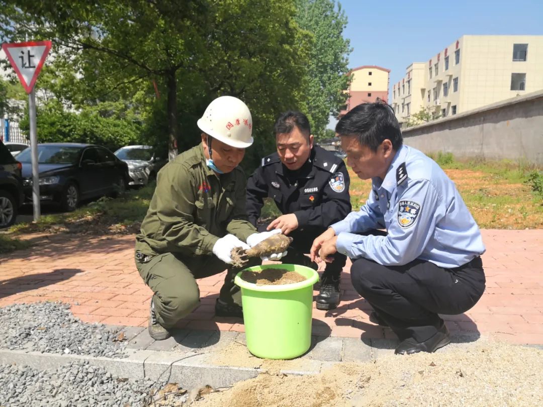 新余孔目江河底发现两枚炮弹 爆破专家到场处置