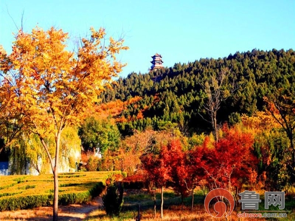 山东省四大地质公园之一,山东十大魅力景点之首浮来山风景区位于莒县