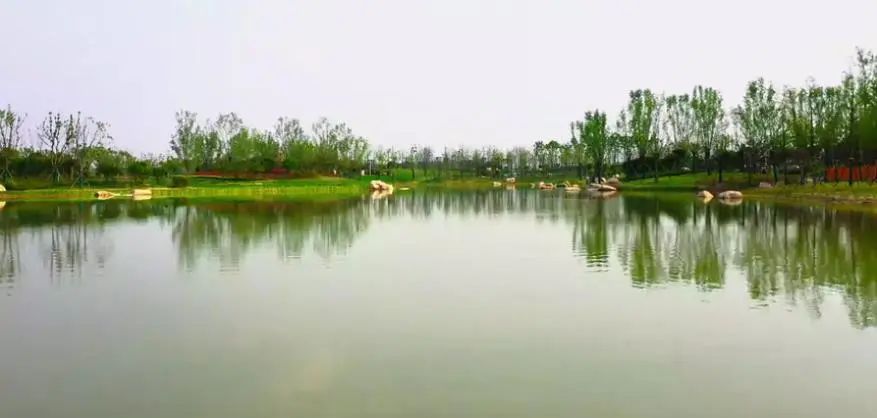 好消息!滁州再添一处湿地公园 规划总面积约130公顷