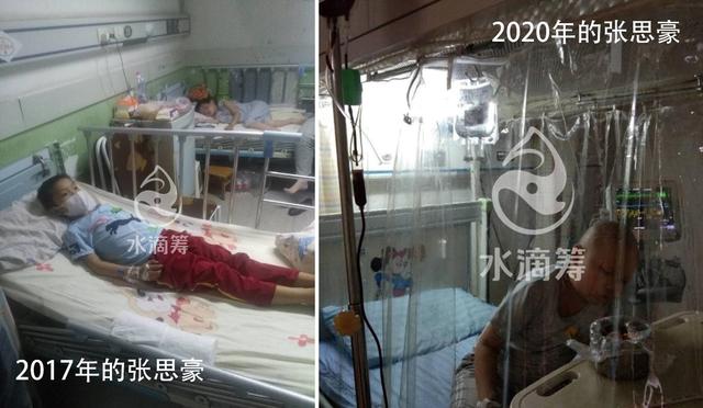 被捐油条店的白血病男孩:已在水滴筹筹款十几万,急需骨髓移植