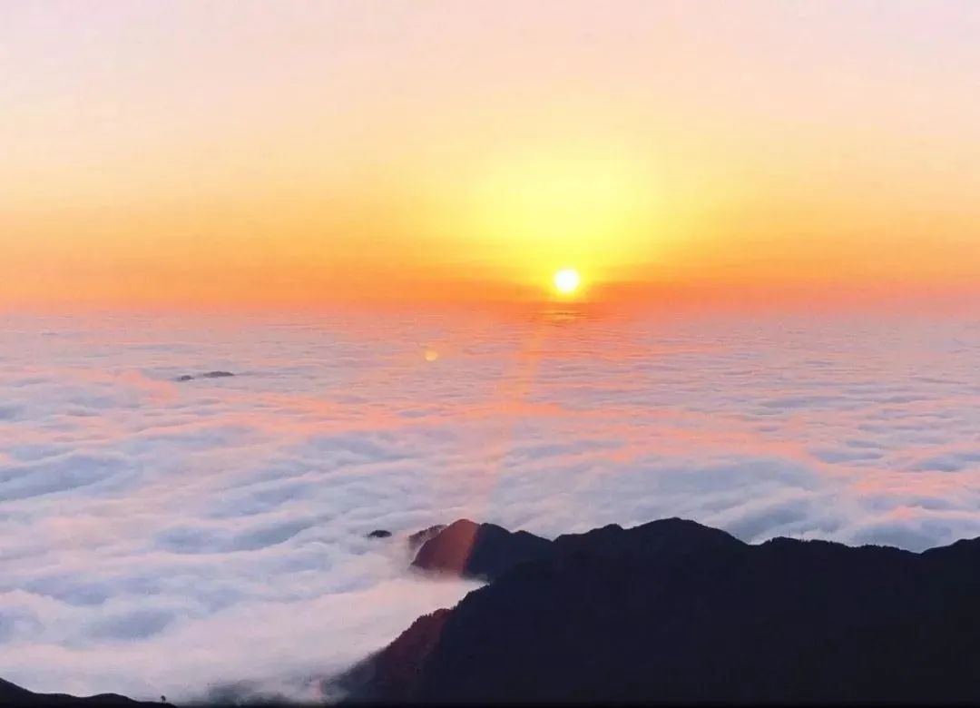 雨后武功山,云海出现的那一刻最是欣喜