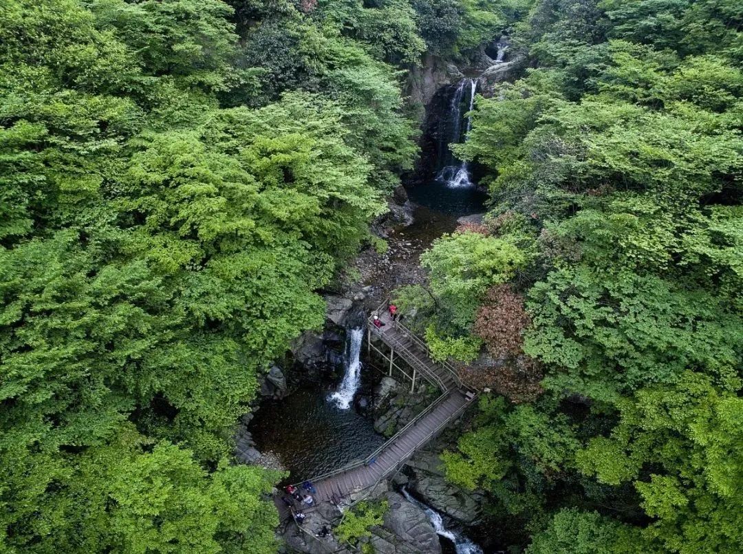 龙津溪地景区5年内对援鄂医疗队员 不限次免门票——致全国援鄂医疗