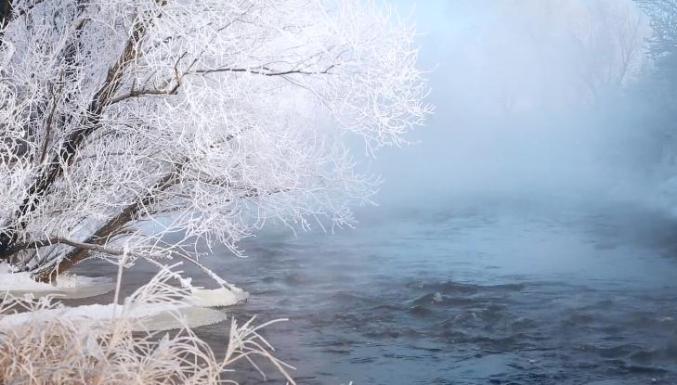 河面上白雾弥漫,两岸松柳凝雪挂霜,戴玉披银,形成雾凇奇观