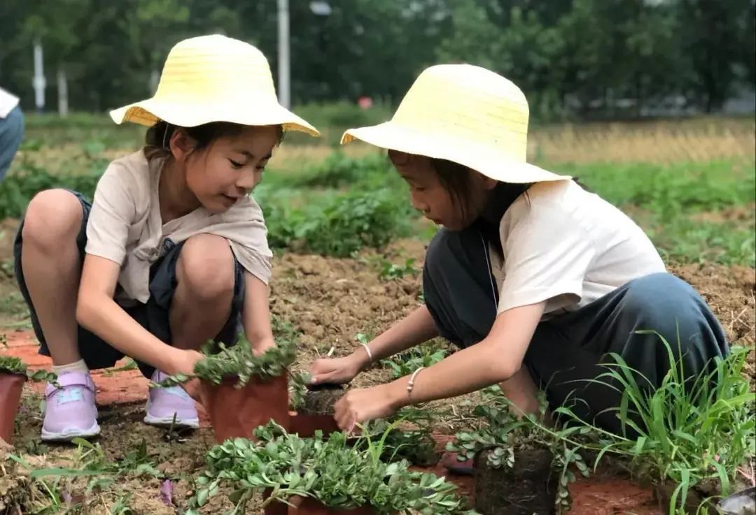 抓住夏天的尾巴丨我是小农夫亲子游活动现在开始报名啦