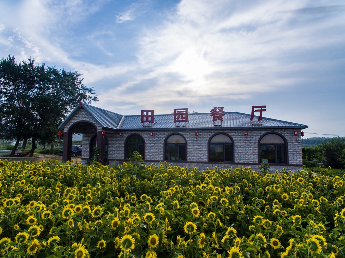 营口鲅鱼圈小望海农乐园实现农业发展新途径