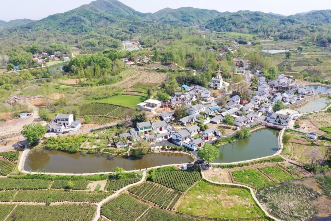 楼畈村现为省级"百乡千村示范村,省级卫生村,市级文明村,信阳市"多彩