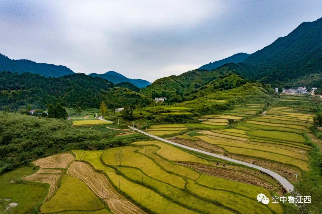 航拍武宁东林乡:大山里的金秋风景美不胜收