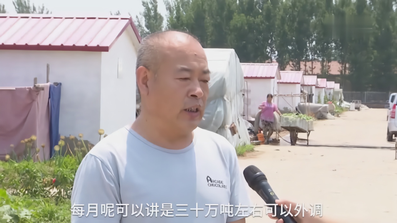 河北廊坊：多措并举保北京蔬菜供应