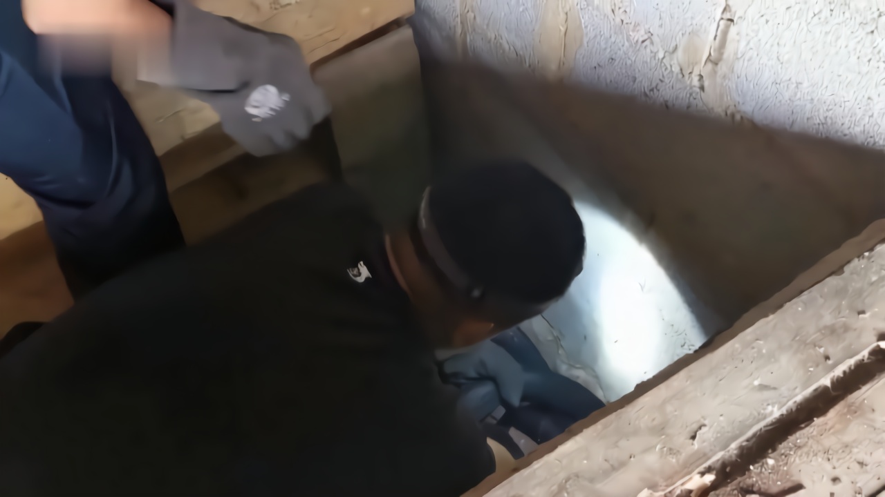 3米长眼镜王蛇闯入居民家 消防员撬地板“拔”蛇