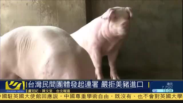 台湾民间团体发起联署,严拒美国莱猪进口