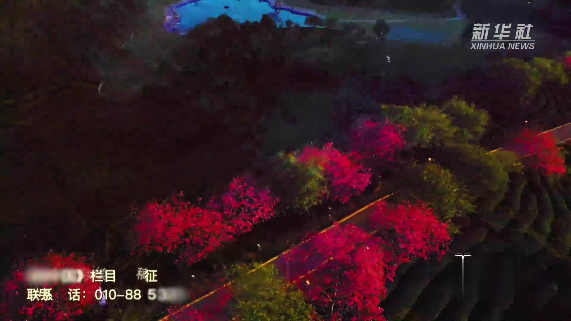 瞰中国|福建永福：高山茶园夜色迷人