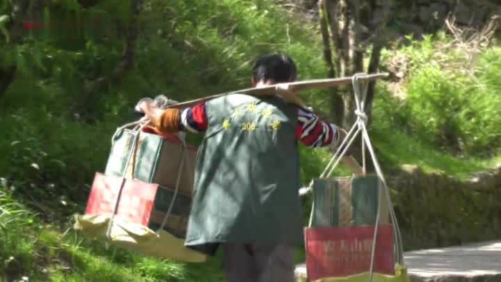 黄山挑山工 行走风景线