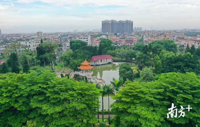 结合镇区实际,科学编制《广东省中山市东升森林小镇建设规划(2018—