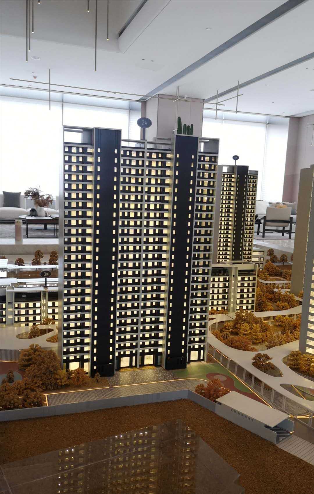 曲江城市树