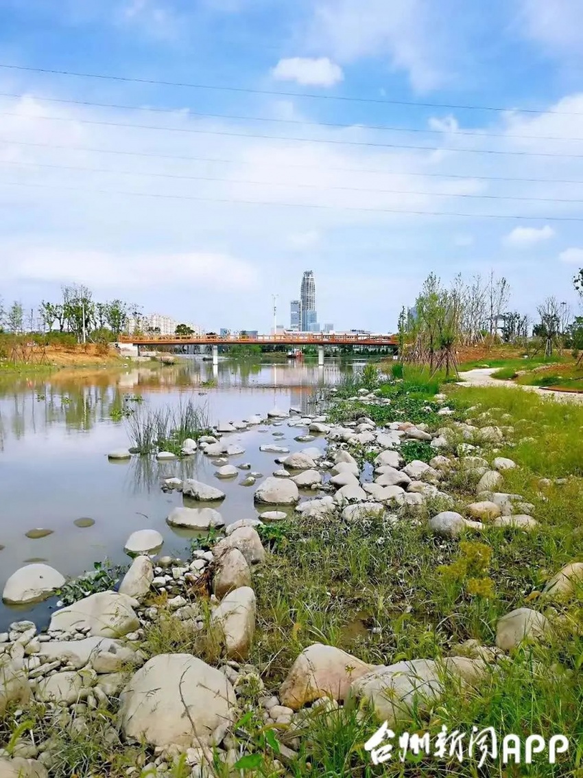 10月开园,台州再添一处湿地景观 永宁湿地位于椒江区葭沚街道金洋村