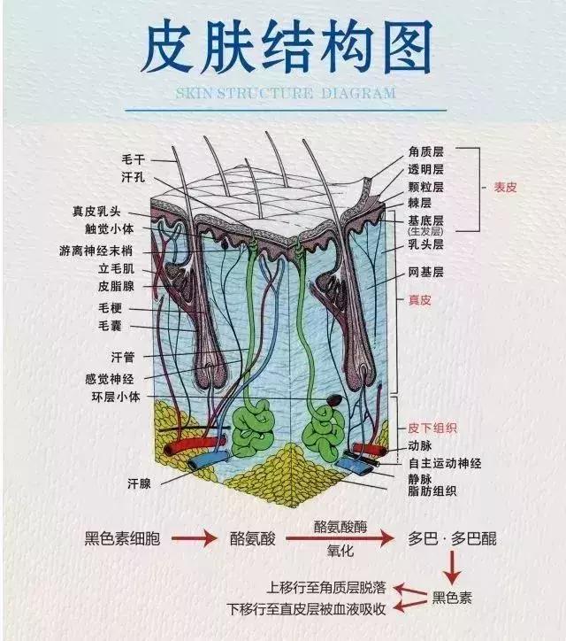 别再开灯睡觉了!真的,不是儿戏