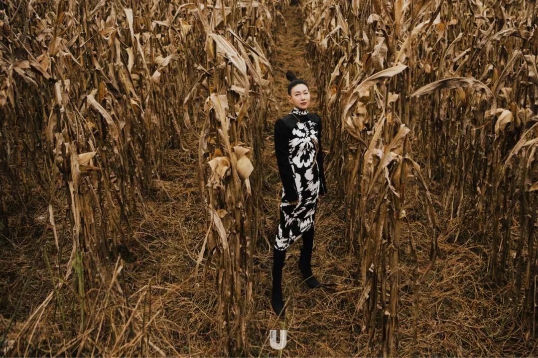 「桃桃淘电影」又是很美的惠老师呀 | 赏色