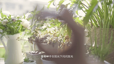 今夜我不关心人类，只暖你