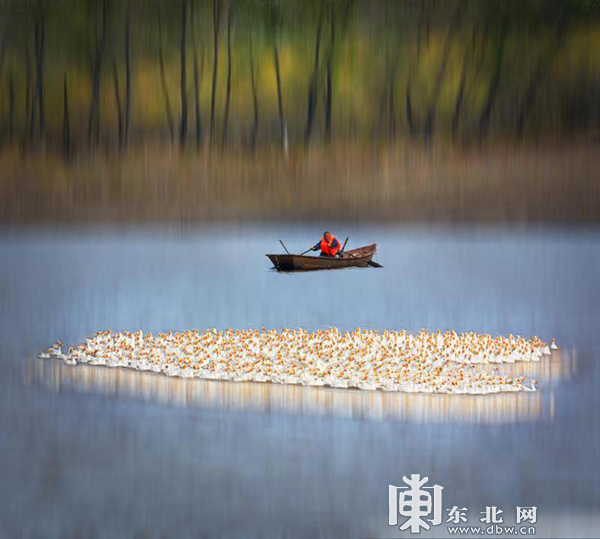 黑龙江北大荒秋收系列图片亮相北京国际摄影周