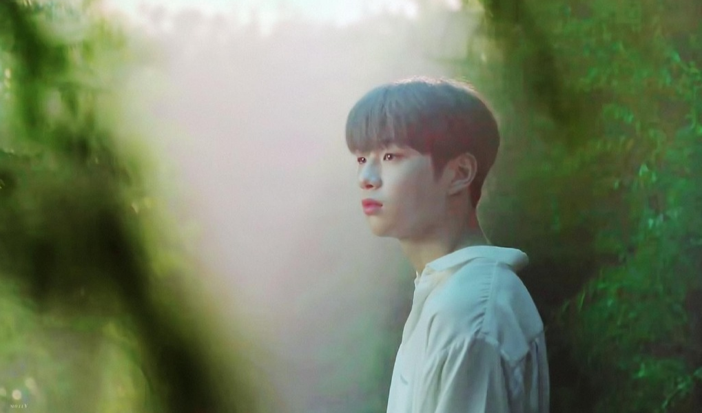 又一韩星辱华?姜丹尼尔继恋爱曝光后,1篇通稿引人愤怒