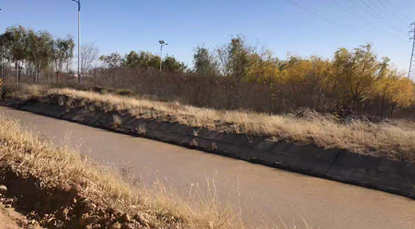 造纸厂产生的污水在混合黄河水后沿干渠流淌，最终流进林区进行灌溉。澎湃新闻记者 陈雷柱 图