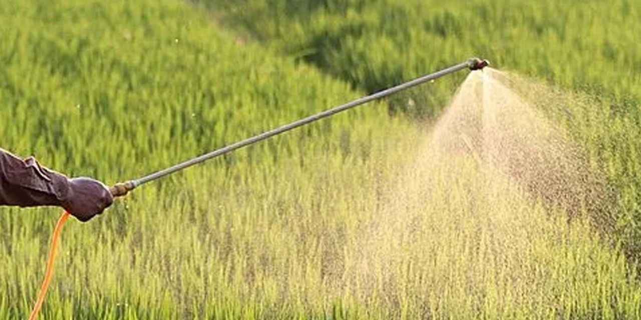 我国正式废除农业税是从哪一年开始