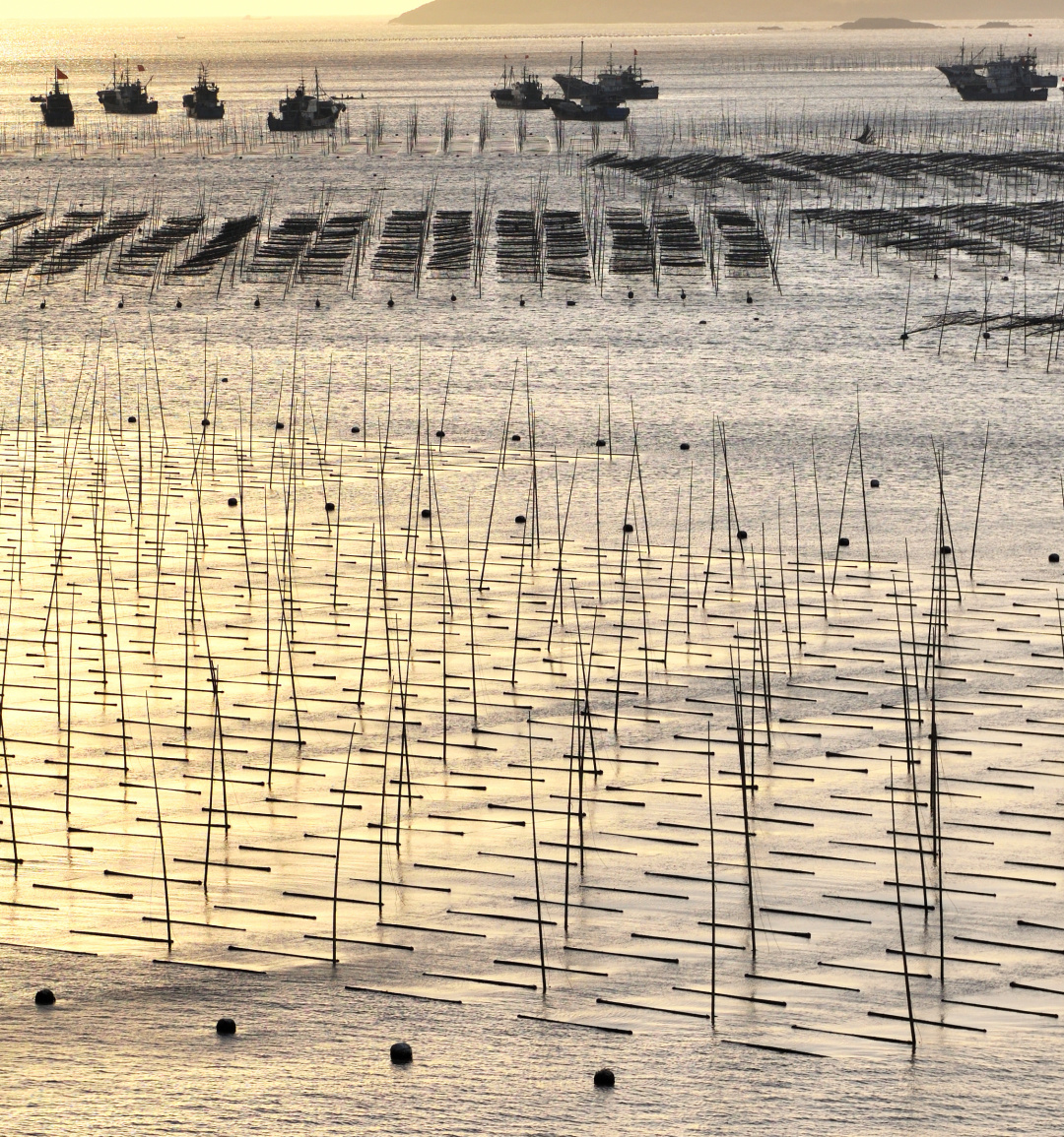 沿海人民是如何喂饱中国的？| 地球知识局