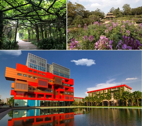 广西药用植物园、国家基因库共建药用植物数据库(最新发布)