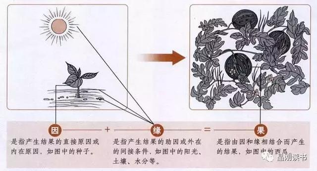 《金刚经》解读 - 第18天:尊严与乞讨,佛家乞食制度